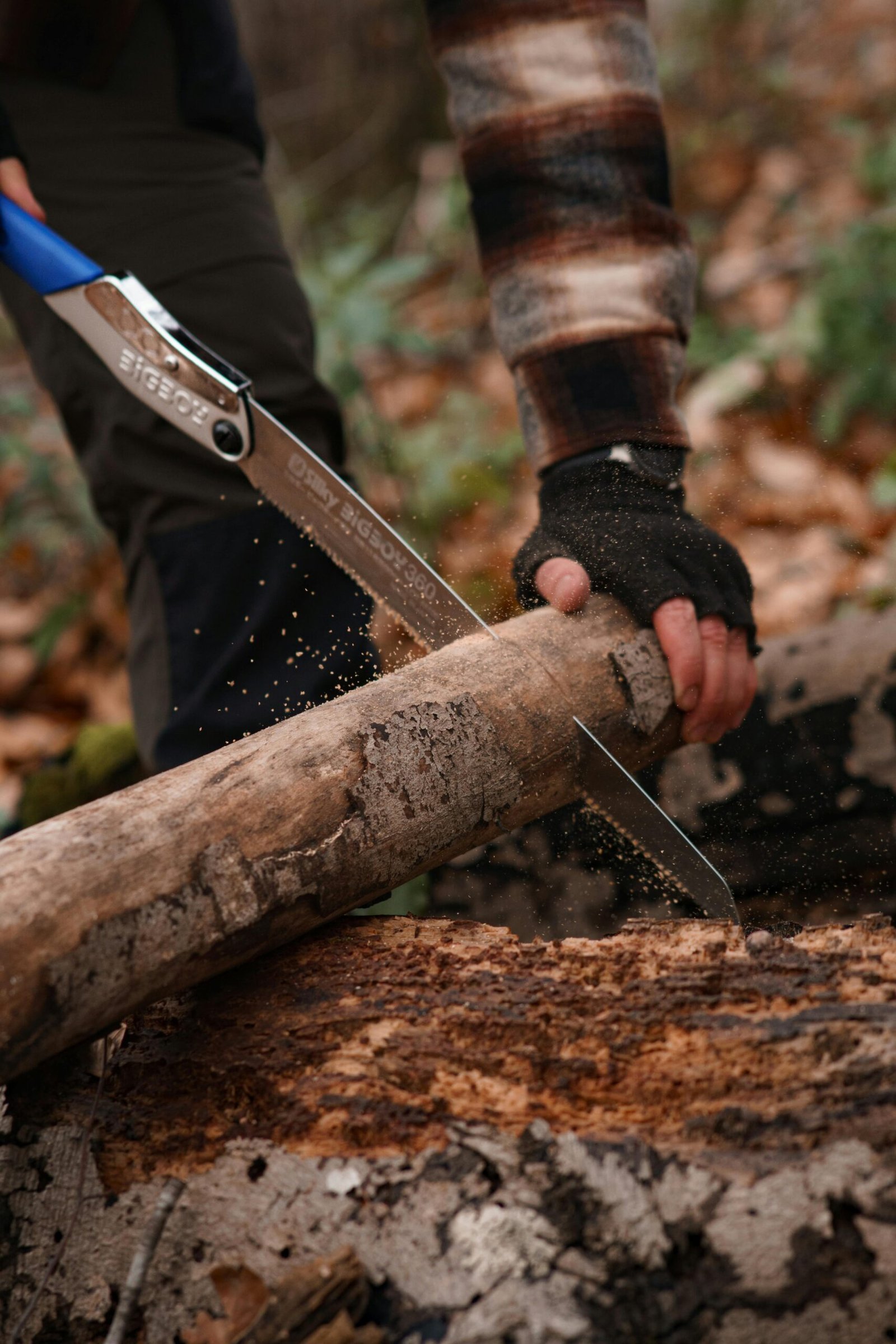 Close-up of a man using a hand saw to cut a tree trunk in the forest, showcasing woodworking skills.