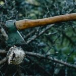Rustic hatchet lodged in tree branch, depicting outdoor logging action in Estonia.