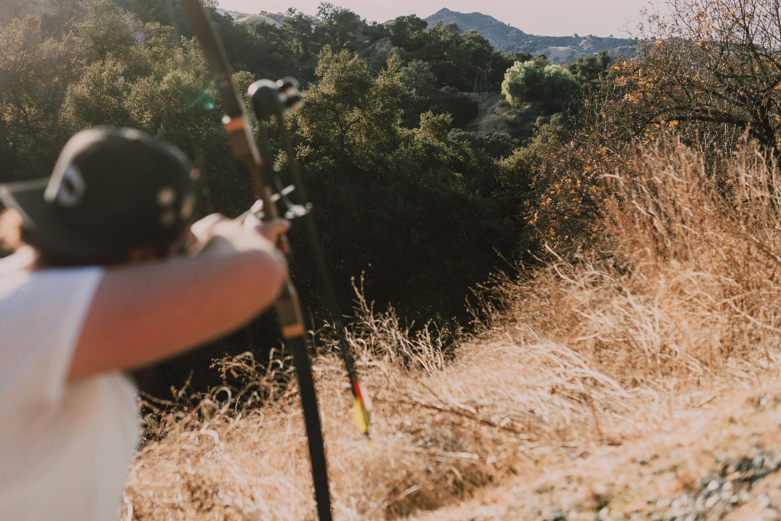 A person aiming a bow in a scenic, sunny outdoor setting, perfect for adventure themes.
